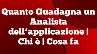 Quanto Guadagna un Analista dell’applicazione | Chi è | Cosa fa Quanto Guadagna un Analista dell’applicazione
| Chi è | Cosa fa