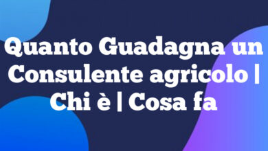 Quanto Guadagna un Consulente agricolo | Chi è | Cosa fa Quanto Guadagna un Consulente agricolo
| Chi è | Cosa fa