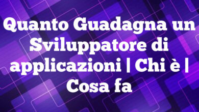 Quanto Guadagna un Sviluppatore di applicazioni| Chi è | Cosa fa Quanto Guadagna un Sviluppatore di applicazioni
| Chi è | Cosa fa