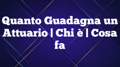 Quanto Guadagna un Attuario| Chi è | Cosa fa Quanto Guadagna un Attuario
| Chi è | Cosa fa