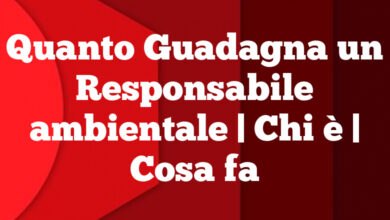 Quanto Guadagna un Responsabile ambientale| Chi è | Cosa fa Quanto Guadagna un Responsabile ambientale
| Chi è | Cosa fa