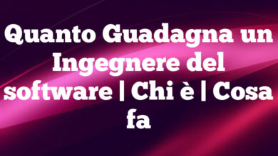 Quanto Guadagna un Ingegnere del software| Chi è | Cosa fa Quanto Guadagna un Ingegnere del software
| Chi è | Cosa fa