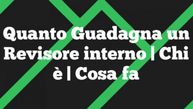 Quanto Guadagna un Revisore interno| Chi è | Cosa fa Quanto Guadagna un Revisore interno
| Chi è | Cosa fa