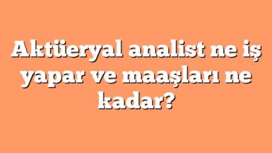 Aktüeryal analist ne iş yapar ve maaşları ne kadar?