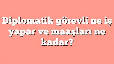 Diplomatik Görevli Ne İş Yapar ve Maaşları Ne Kadar? Diplomatik görevli ne iş yapar ve maaşları ne kadar?