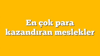 En çok para kazandıran meslekler