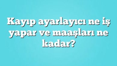 Kayıp ayarlayıcı ne iş yapar ve maaşları ne kadar?