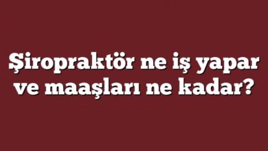 Şiropraktör Ne İş Yapar ve Maaşları Ne Kadar? Şiropraktör ne iş yapar ve maaşları ne kadar?