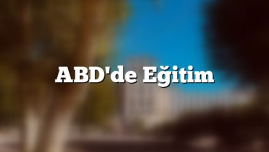 Amerika Eğitim Sistemi ABD'de Eğitim