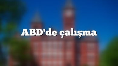 ABD'de çalışma