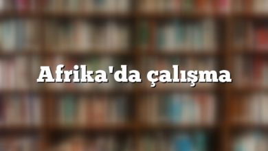Afrika'da çalışma