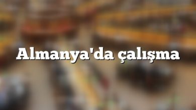 Almanya'da çalışma