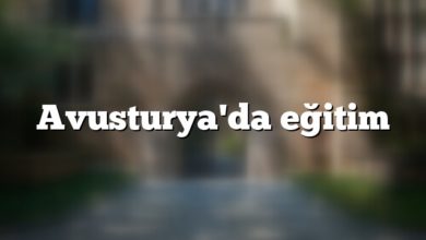 Avusturya'da eğitim