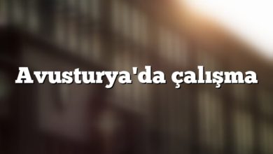 Avusturya'da çalışma