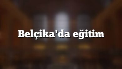 Belçika'da eğitim