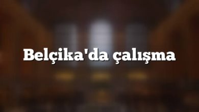 Belçika'da çalışma