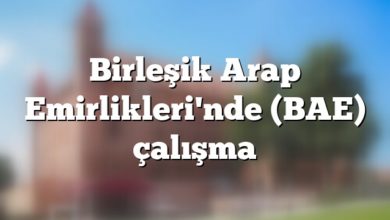 Birleşik Arap Emirlikleri'nde (BAE) çalışma