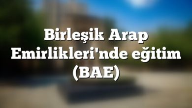 Birleşik Arap Emirlikleri Eğitim Sistemi (BAE) Birleşik Arap Emirlikleri'nde eğitim (BAE)