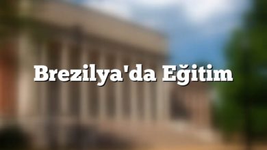 Brezilya'da Eğitim