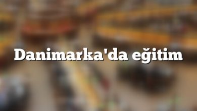 Danimarka'da eğitim