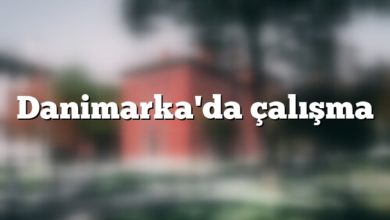 Danimarka'da çalışma