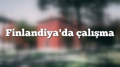 Finlandiya'da çalışma
