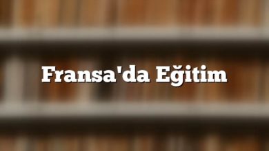 Fransa'da Eğitim