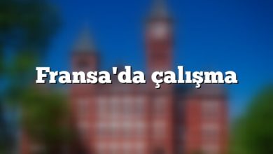 Fransa'da çalışma