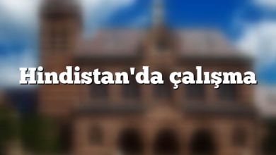 Hindistan'da çalışma