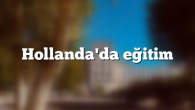 Hollanda'da eğitim