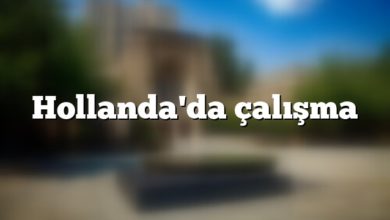 Hollanda'da çalışma