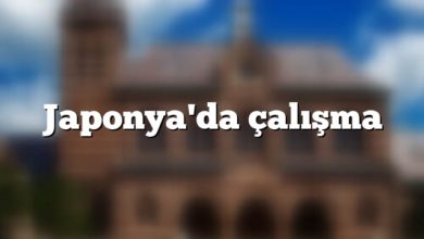 Japonya'da çalışma