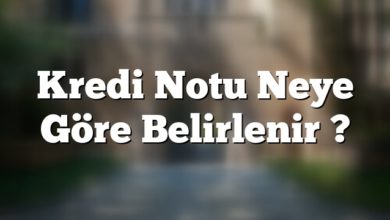 Kredi Notu Neye Göre Belirlenir ?