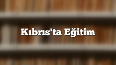 Kıbrıs'ta Eğitim