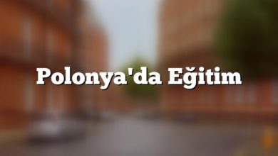 Polonya Eğitim Sistemi Polonya'da Eğitim