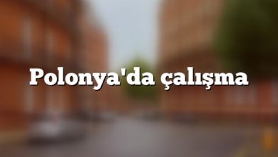 Polonya'da çalışma