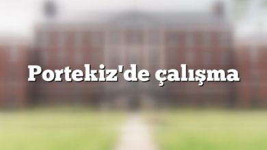 Portekiz'de çalışma