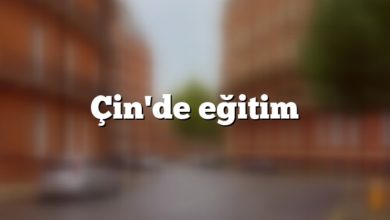 Çin'de eğitim
