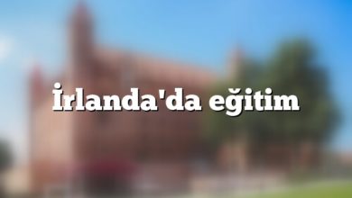 İrlanda'da eğitim