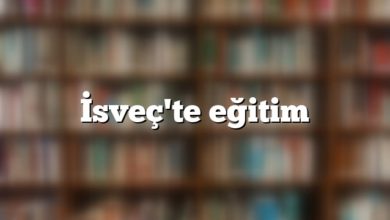 İsveç Eğitim Sistemi İsveç'te eğitim