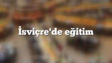 İsviçre Eğitim Sistemi İsviçre'de eğitim