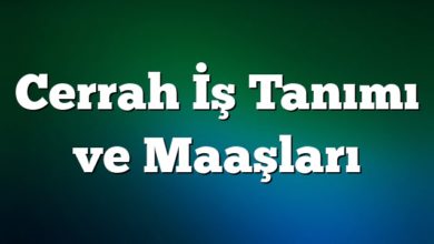 Cerrah İş Tanımı ve Maaşları