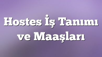 Hostes İş Tanımı ve Maaşları