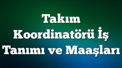 Takım Koordinatörü İş Tanımı ve Maaşları