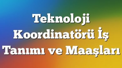 Teknoloji Koordinatörü İş Tanımı ve Maaşları