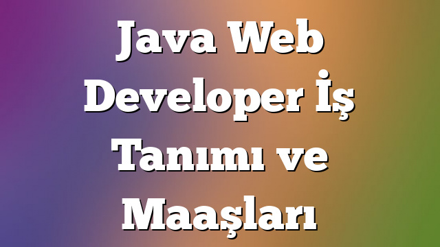 Java Web Developer İş Tanımı ve Maaşları